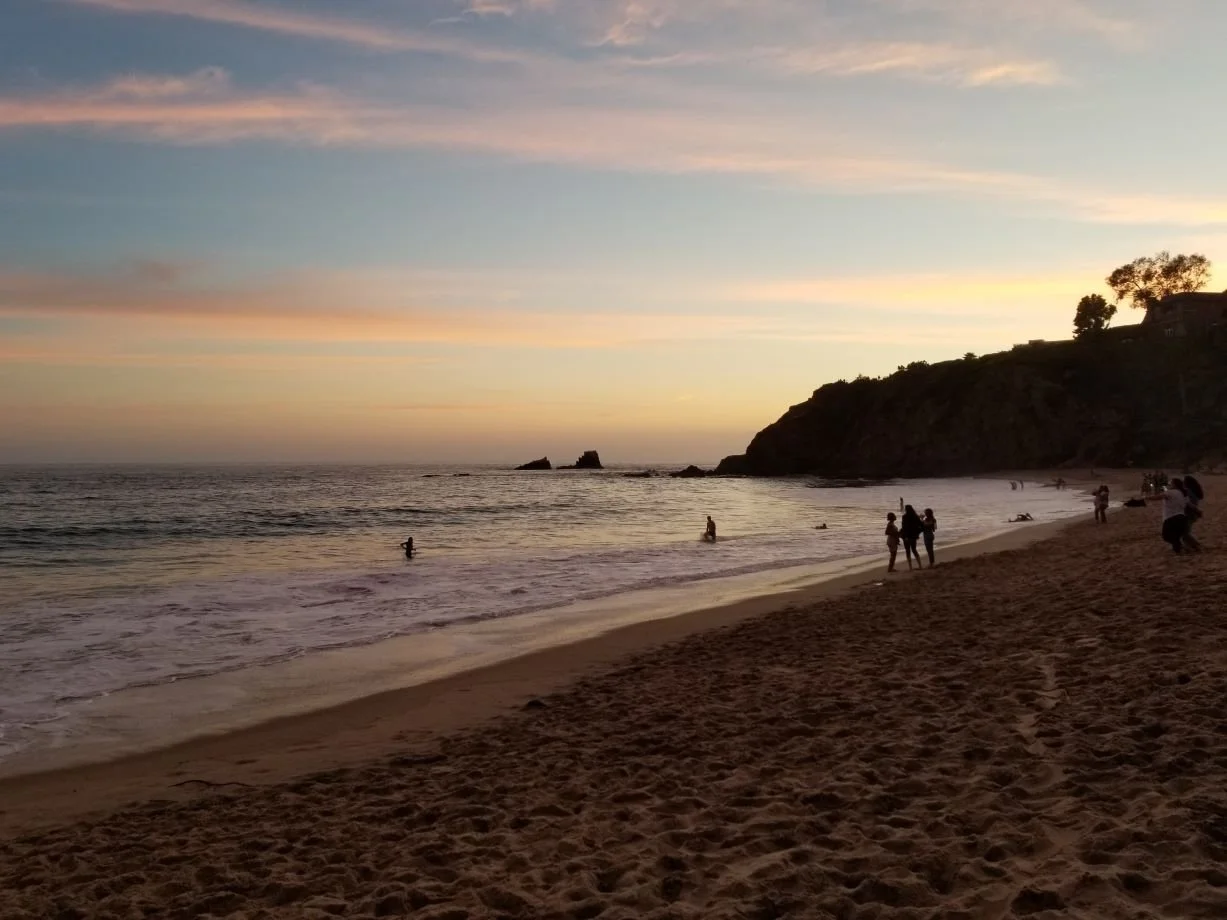 A Dog's Day Out in Laguna Beach - Have Pupper Will Travel